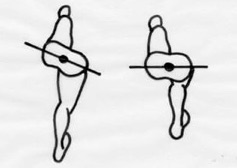 pelvic rotation